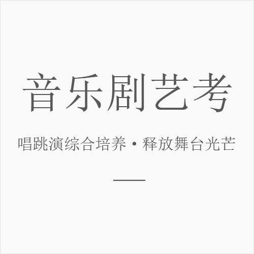 艺考咨询流程说明二